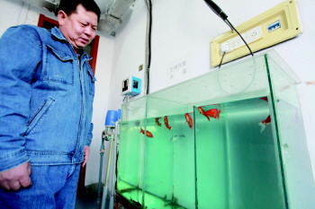 青島自來水需檢測106種成分 靠鯉魚驗(yàn)水質(zhì)(圖)